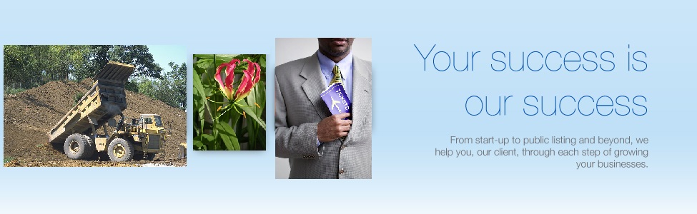 International accounting services that speak your language